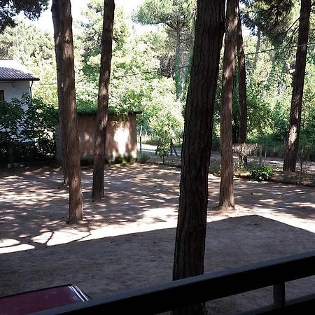 Hotel Riviera Marina di Ravenna Εξωτερικό φωτογραφία